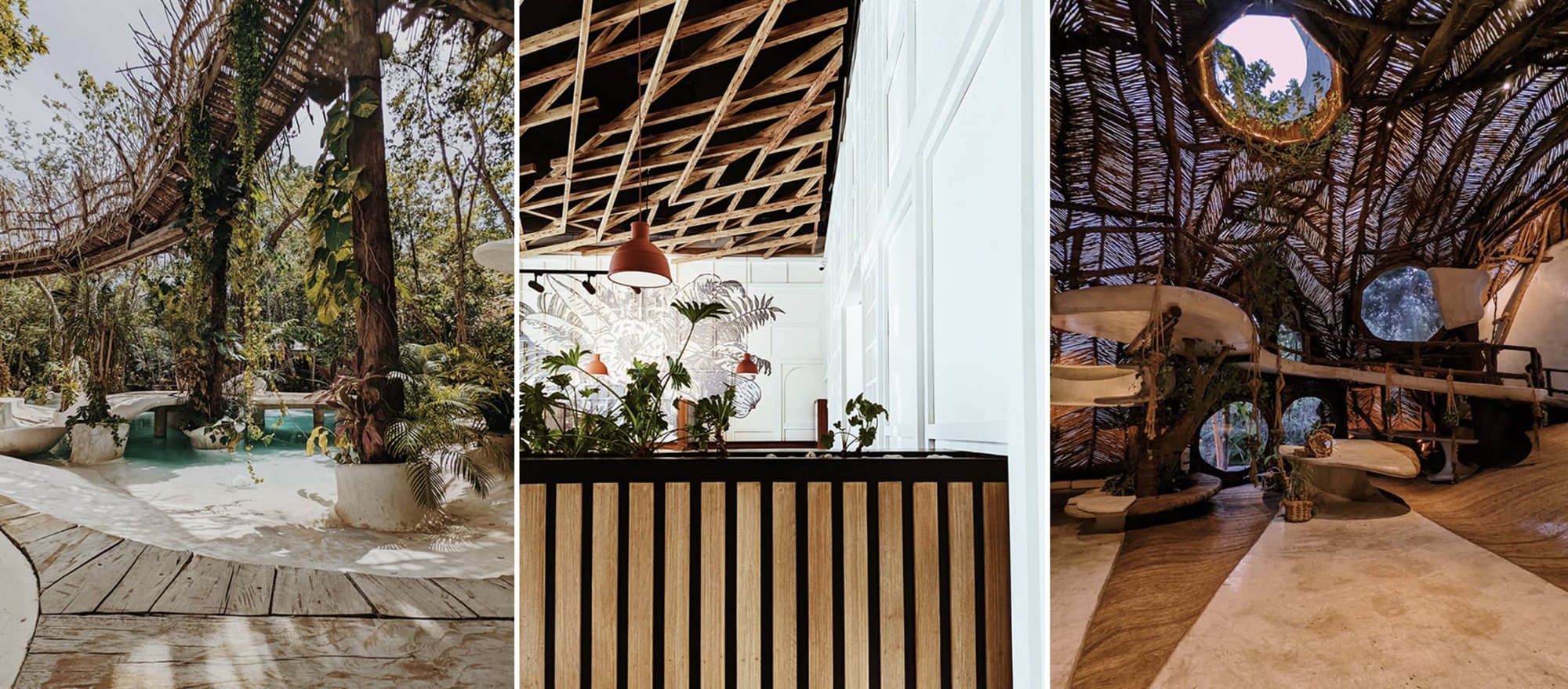 Images of mexican restaurant and nature museum