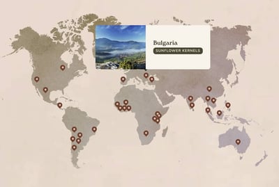 Map Feature Screenshot